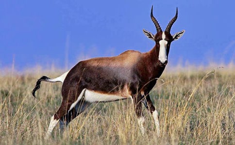 ���������ݡ��̰����ģ�ͨ��10ƪ��