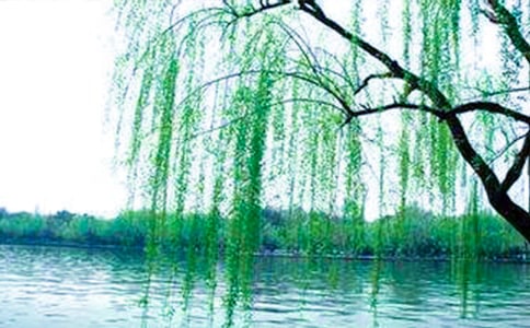 ����������������