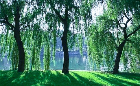 �й����������ľ��Ӽ���39��