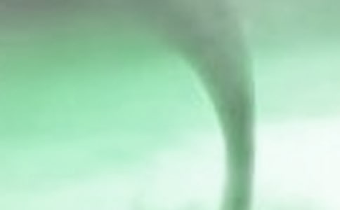 ������Сѧ��ʫ��