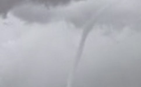 ��������Ϊ��Ŀ��Сѧ����