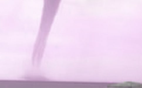 һ��������Сѧ���꼶�ܼ�