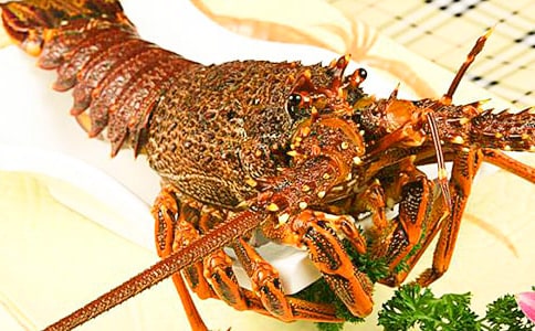 �ܽ���Ϻ��Ӫ����ֵ