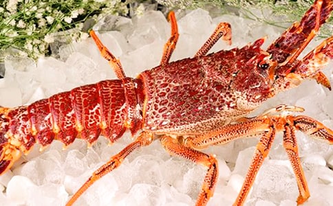 ����Ϻ���ġ�����15ƪ��