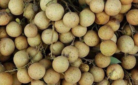 ����ժ���۵�����5ƪ