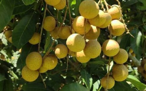 �������۵��ռǣ�ͨ��22ƪ��