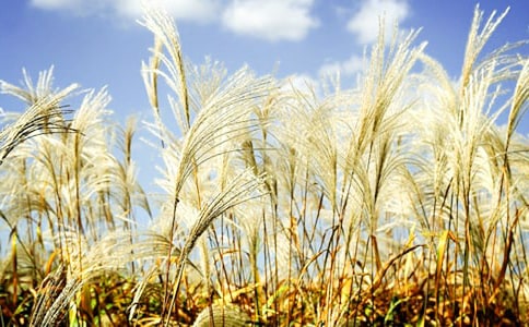 «έ(��һ��)��ʫ��