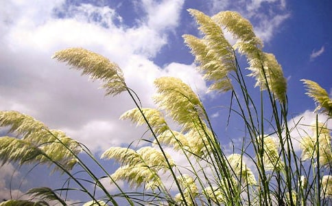 «έ��ǰ����2ƪ(ʵ��)