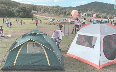 ����¶Ӫ����