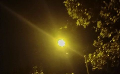 ���Ƽ�������һյ·������15ƪ