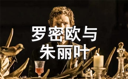 ������ŷ������Ҷ���������