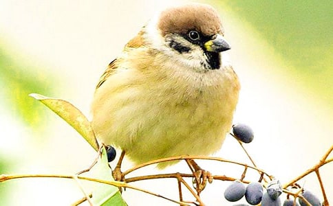 ׽��ȸ������