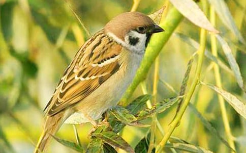 С�ཡ���̰�����ȸ��ʳ��