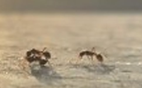 ��ֻ����Ҳ����-��������