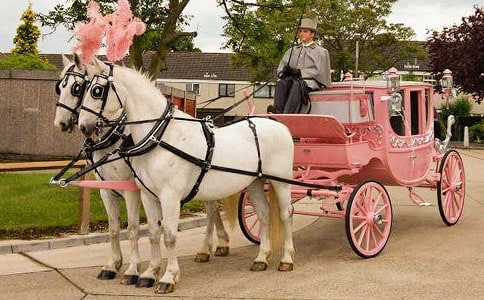 我的宝马车作文