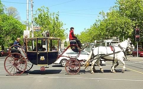 ��������������Ʒ������ģ���ѡ11ƪ��