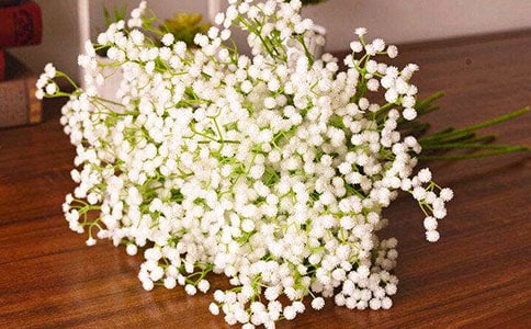 ����������ͨ��[12ƪ]