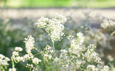 ����������(10ƪ)