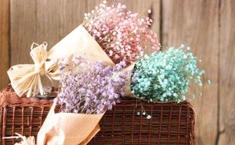 ����������5ƪ������