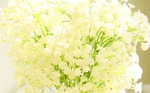 ���������ġ�ʵ��15ƪ��