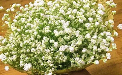 ���������ǹ�����ʵ�á�10ƪ��