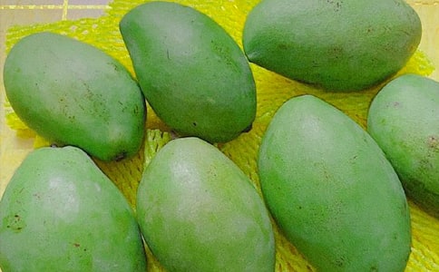 ����â�����ϵ�С�ݶ���з��ģ�ͨ��5ƪ��