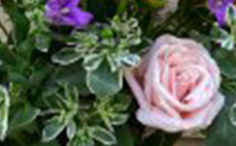 ��õ����ֽ����ͼ��