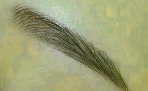 Ů��ʲôüë�ÿ�