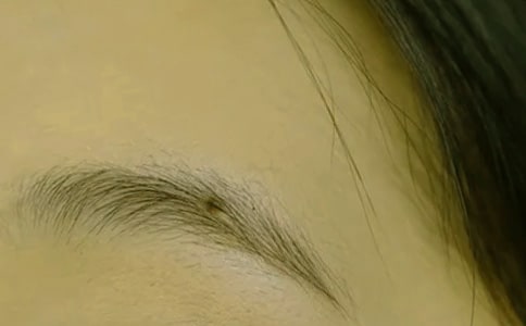 ���׵�üë����_��д�ְ�900��