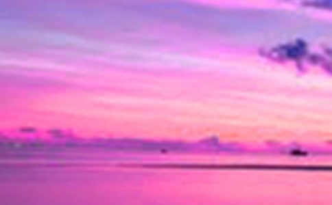 ���������ľ���190��