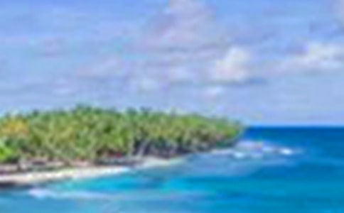 �����������(����10ƪ)