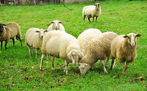 ����������򡷶����