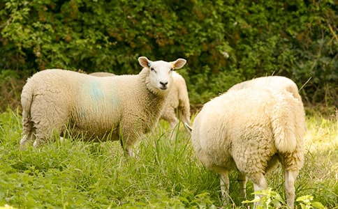 ���������С���򡷶���з���