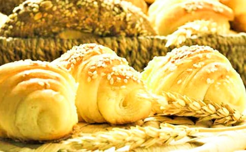 ��������ģ���ѡ23ƪ��