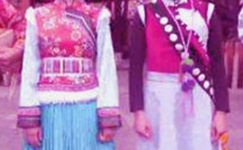 ������ɫ����