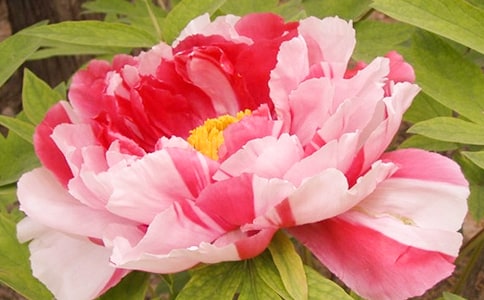 ��дĵ��������������