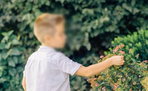 ����к���