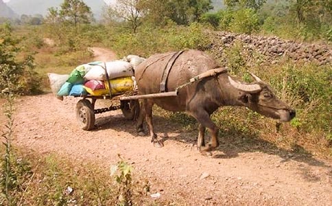 ţ�������ɢ��