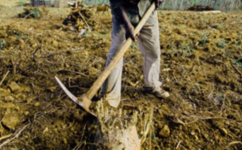 ��ũ�����Ķ���