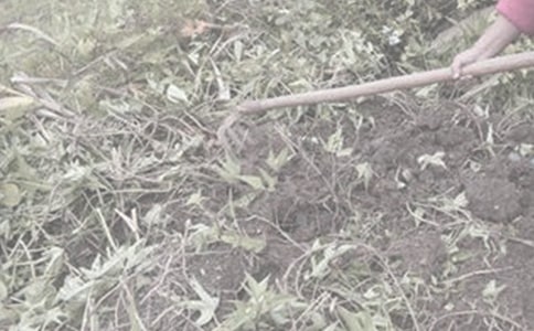 ��ũ������15ƪ����Ʒ��