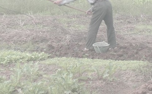 �ְָ�ũ�������ͨ��