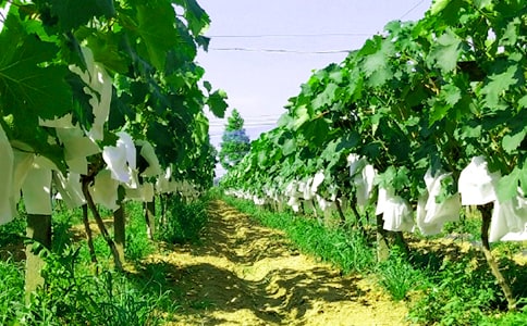 ũ��������10ƪ