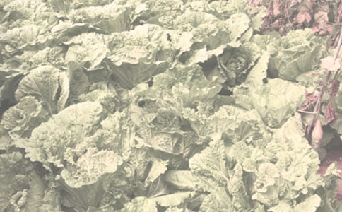 ��ũ��������������ϰ���༰��