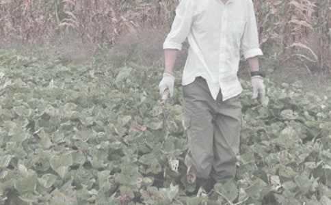 ������ʲôũ����