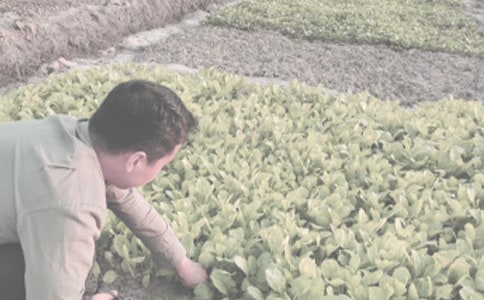 ũ������������Щ