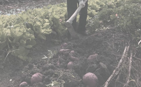 ũ���ﲡ�溦��ⷽ����ͨ��10ƪ��