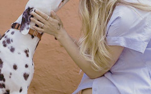 Ů�Ի�������