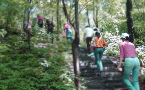 ����ɽ���Ľš��̰�