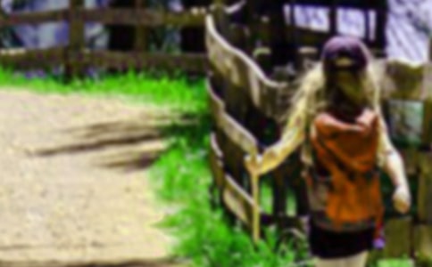 ��ɽ���Ľſμ�����ѡ11ƪ��