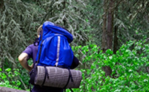 �˽̰���ɽ���ĽŽ̰�